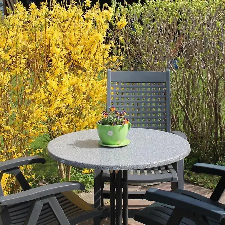 Lovely At Mecklenburg With Terrace Apartment